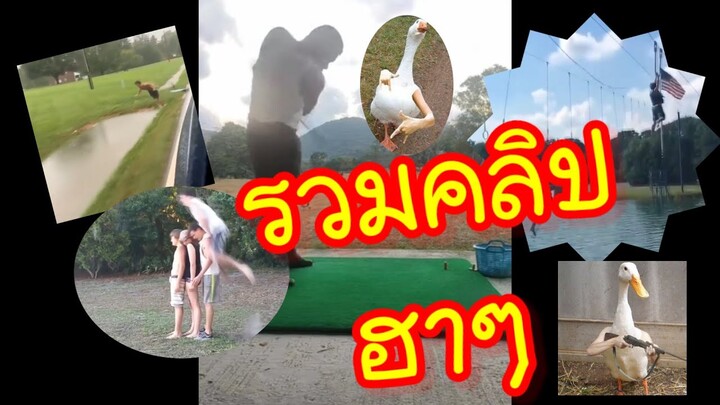 รวมคลิปตลก ฮาๆ ขำๆ ทั่วโลก ep.1