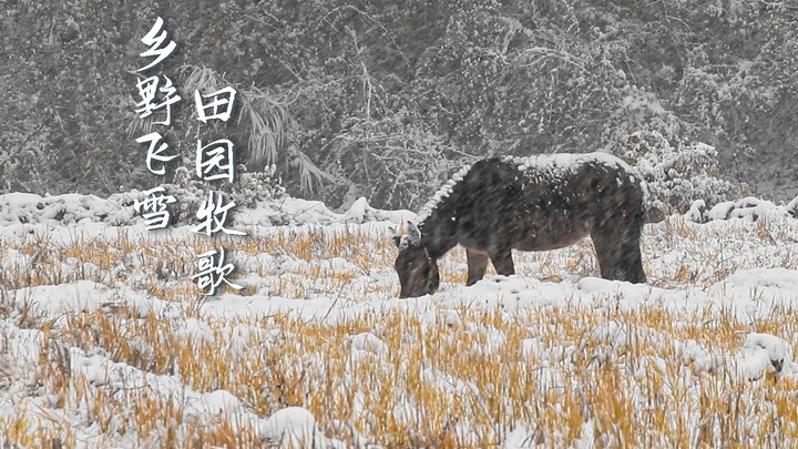 Whispers of Time, Abundant Snow Brings a Bountiful Year.