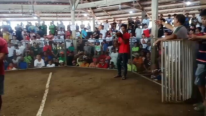 my medium station melsim proven and tested vs gray