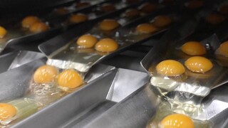 [1.3 billion eggs produced in a year on the egg liquid production line]