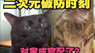 【猫MEME】如何让二次元破防哽咽？还是二次元自己