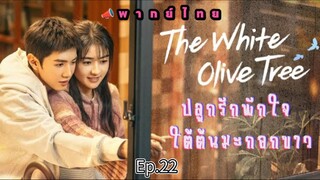 Episode 22