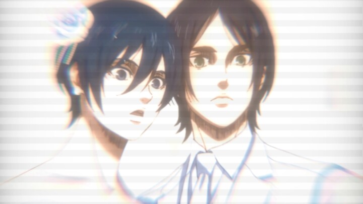 Mikasa, what am I to you?