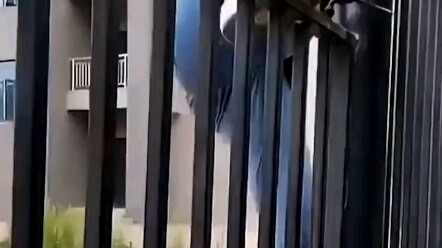 Man narrowly avoids disaster after his foot slips while climbing over the railing—thanks to the pers