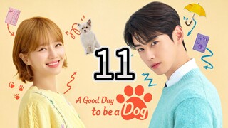 A Good Day To Be A Dog Episode 11 [Tagalog Dub]