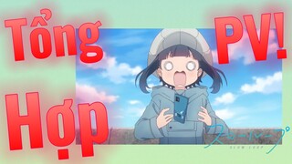 [Slow Loop] Tổng Hợp PV!