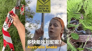 ⚠️ 在澳大利亚在家附近多快能找到一条蛇呢？