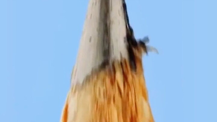 You really can’t come across this unless you’ve got an artistic streak!