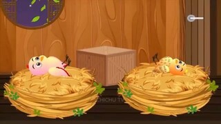 Rano Chidiya Wala Cartoon _ वाला कार्टून रानो _Tuni Achi Cartoon _ Hindi Kahani