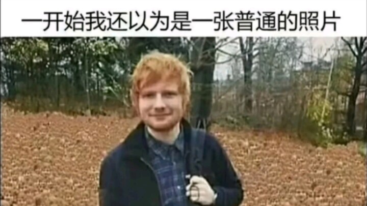 Lúc đầu tôi còn tưởng đó chỉ là một bức ảnh bình thường.