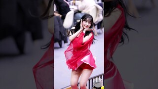 꽃받침은 못참지 이주은 치어리더 직캠 Lee Jueun