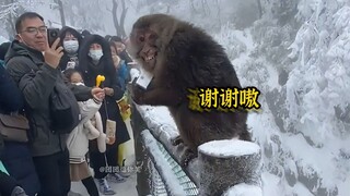 Vườn thú: Vé này mua không uổng nhỉ