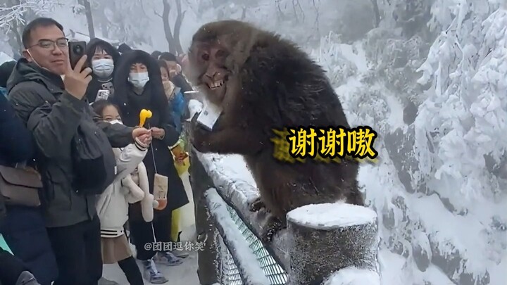 Zoo: This ticket was definitely worth it, wasn't it?