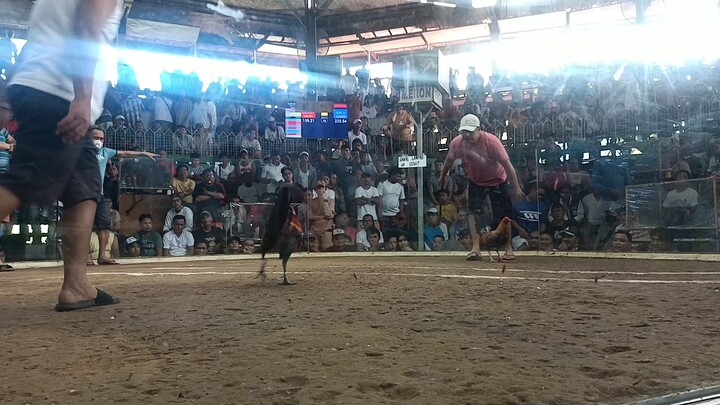 Walang sugat!! Calamba Laguna megacockpit