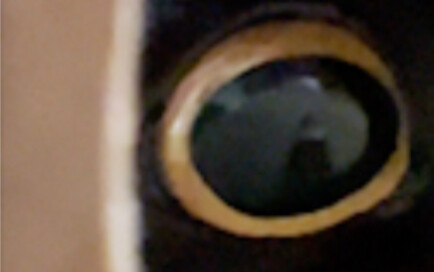 พี่น้องทั้งหลาย ฉันทนไม่ไหวแล้ว! (วิดีโอที่ต้องเปิดวนซ้ำไปมาถึงจะเข้าใจ)