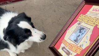 Husky: Just got through the New Year, and now it's almost time for another one!