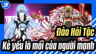 Đảo Hải Tặc|[Esdese] Kẻ yếu là người mạnh, người chiến thắng là vua_3