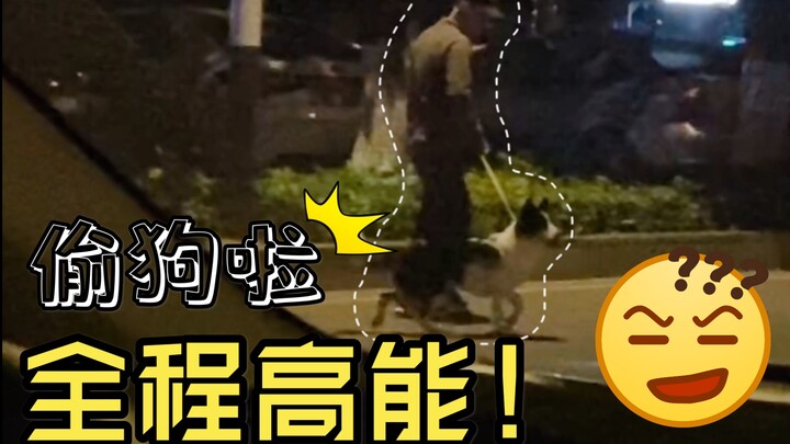 ระหว่างทางกลับบ้านก็พบว่าสุนัขของฉันถูกขโมยไปแล้ว!!