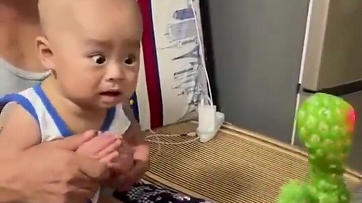 Học nói xương rồng, dọa khóc trẻ nhỏ