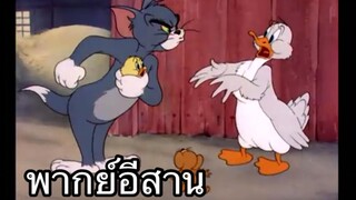 ทอมแอนเจอรี่ แมวสิกินเป็ด พากย์อีสาน EP.3