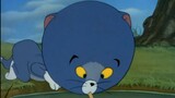 In Tom and Jerry - How many forms does Tom have? (Tom of the Stars)