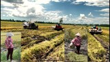 Cảnh ngày hội máy cắt lúa độ trong mùa mưa bão cánh đồng ngã ba 5 tỷ