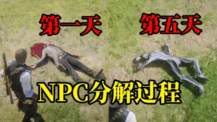 【เดอะ เบิร์ด คัสตัน 2】นอกจากสัตว์จะย่อยสลายไปตามกาลเวลาแล้ว นักแสดง NPC ก็สามารถทำได้เช่นกัน