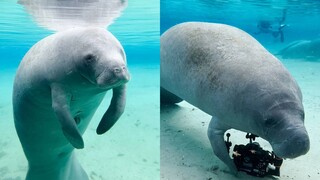 Cảm xúc ổn định quá, muốn hẹn hò