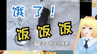 日本学妹看动物干饭《迟一秒就会饿死》