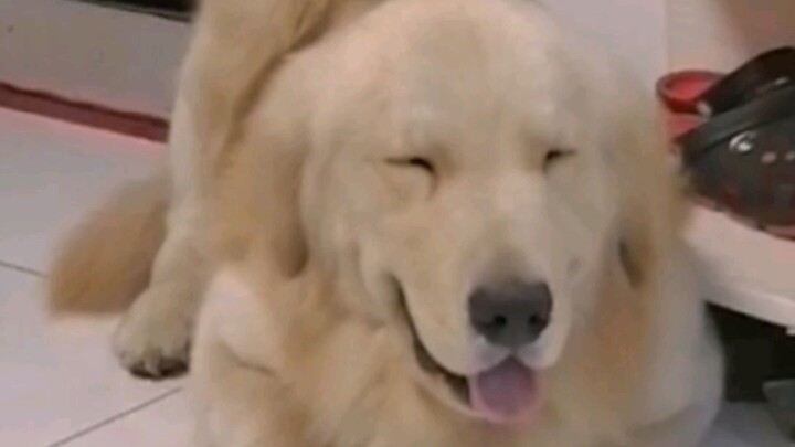 Sợ nhất là đứa trẻ nghịch ngợm lại còn nhiệt tình.