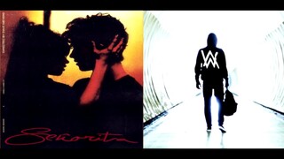 Señorita // Faded [Remix Mashup] - Shawn Mendes & Camila Cabello x Alan Walker