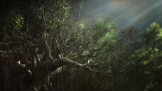 Sự sống trên hành tinh xanh EP 8 [Sub Việt]