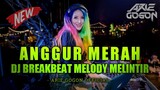 DJ ANGGUR MERAH FULL BASS TERBARU 2021| DJ BREAKBEAT MELODY MELINTIR!!!