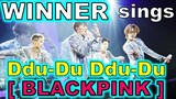 WINNER Cover. BLACKPINK - [DDUDUDUDDU] HD Direct Shot