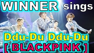 [WINNER] คัพเวอร์เพลง"DDUDUDDUDU" ของ [BLACKPINK] โฟกัสชัดมาก ฮ่าฮ่าฮ่า