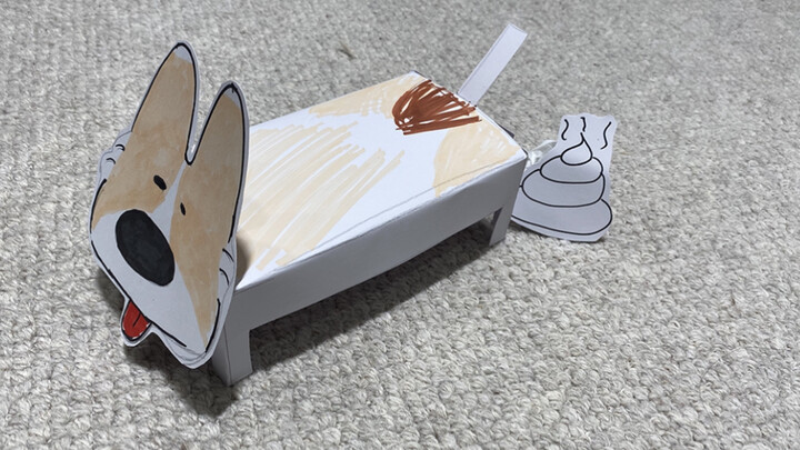 Đừng bao giờ để chó đi bậy trên thảm!