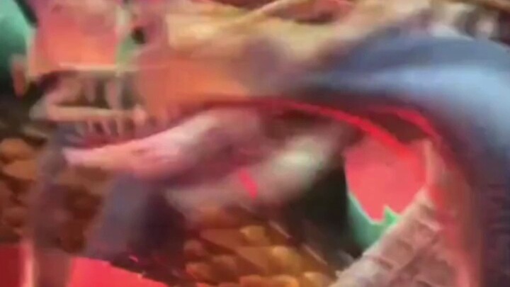 Brave Little Dog Dragon