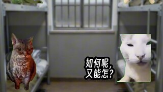 The Most "Beloved" Person in Prison