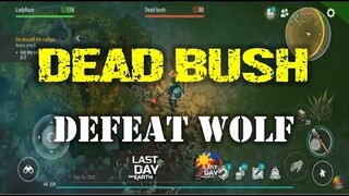 "DEAD BUSH" | DEFEAT THE WOLF - Last Day On Earth: Survival