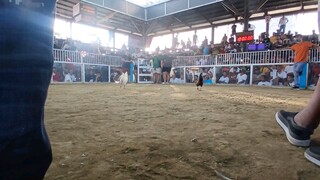 white kelso win @cabanatuan cockpit arena february 2,2025 entry name HUNTER