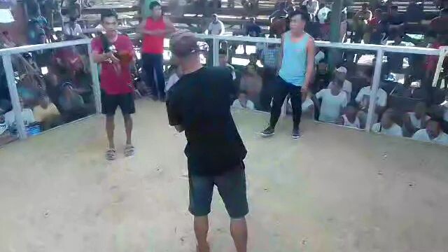 catanauan Quezon 2 cock ulotan second fight