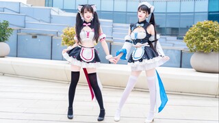 Qingdou x Chu Yuan】Cute crit ❤Membelai membelai ❤Gadis super vitalitas menyembuhkan hatimu~