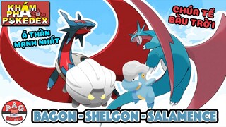 Salamence: Quái vật bầu trời của thế giới Pokemon !!! | Khám Phá Pokedex | PAG Center