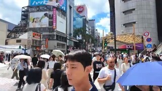 Japan Walk 🇯🇵 Tokyo Shibuya to Harajuku Summer Walking Tour 2025【4K 60fps】