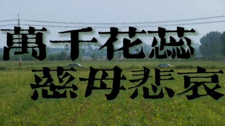「血观音」"有一天，我看了四十四次日落"-万千花蕊慈母悲哀