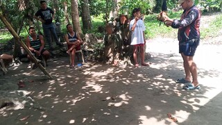 sulong sulong