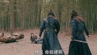 #หลินเฟิง หมัดทรงพลัง