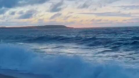 Waves of Life