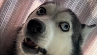 When I slept until noon and still hadn't gotten up to walk the dog...