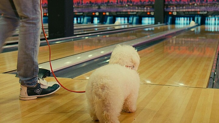 หนังของโจวซิงฉือในฝรั่งเศสฮาเกินไปแล้ว!